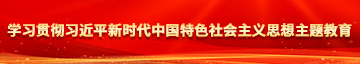 狠狠操美女的骚逼学习贯彻习近平新时代中国特色社会主义思想主题教育