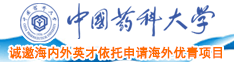 乱日B视频中国药科大学诚邀海内外英才依托申请海外优青项目